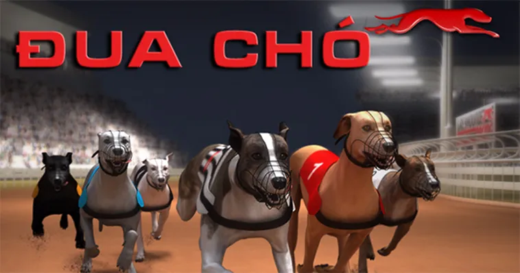 Hướng Dẫn Cách Chơi Game Nhanh Đua Chó Tại AV88 Siêu Tốc